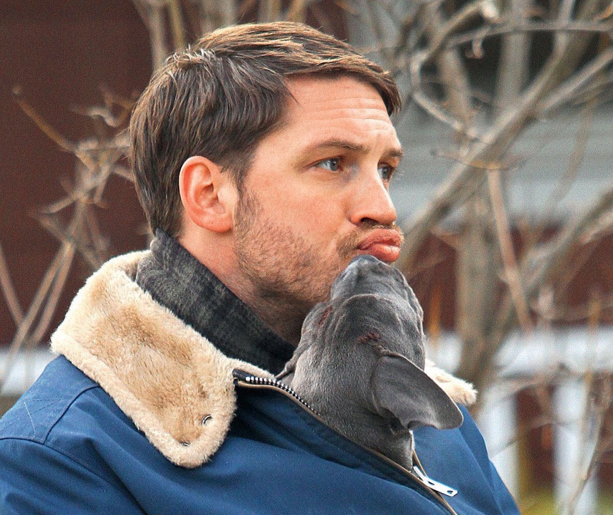 Happy birthday to Tom Hardy, his lips, his MySpace pics and every moment of hoe behavior he s ever exhibited. 