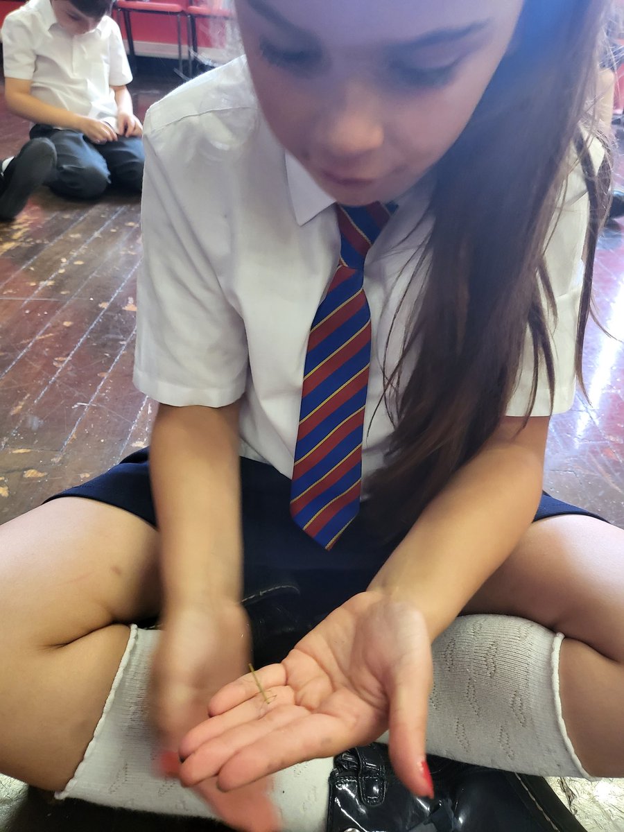 Miss Walker tweet media