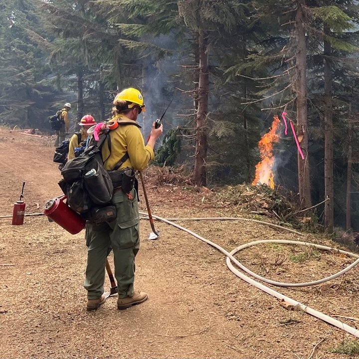 GPNF's tweet photo. Fighting fire with fire is beneficial to the local environment and allows fire operations to show fire containment as the fire reaches the containment line and stops its progression.
Photo credit of Ben McLane. #KalamaFire #IndirectAttack https://t.co/SMBtCTbZu0
