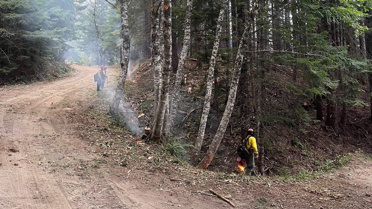 GPNF's tweet photo. Fighting fire with fire is beneficial to the local environment and allows fire operations to show fire containment as the fire reaches the containment line and stops its progression.
Photo credit of Ben McLane. #KalamaFire #IndirectAttack https://t.co/SMBtCTbZu0