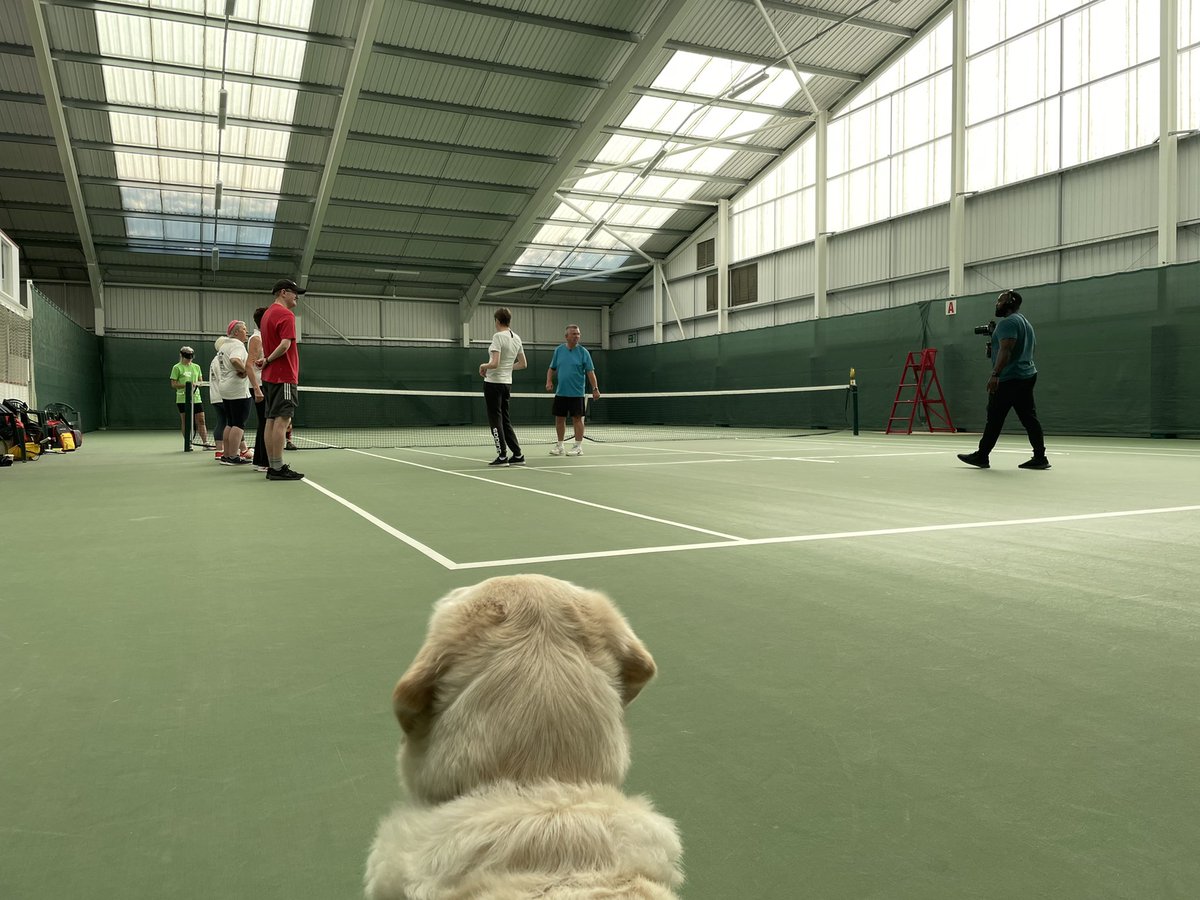 LuSuSports's tweet photo. Lou had a great day at Malvern, working with @BritBlindSport and @the_LTA filming footage for the new E-Learning course coming soon. Enjoyed working with some great coaches & players and Gail the guide dog π #lovemywork #vitennis #blindtennis #visport @head_tennis @LouTennis22 https://t.co/xYL0zYGqEf