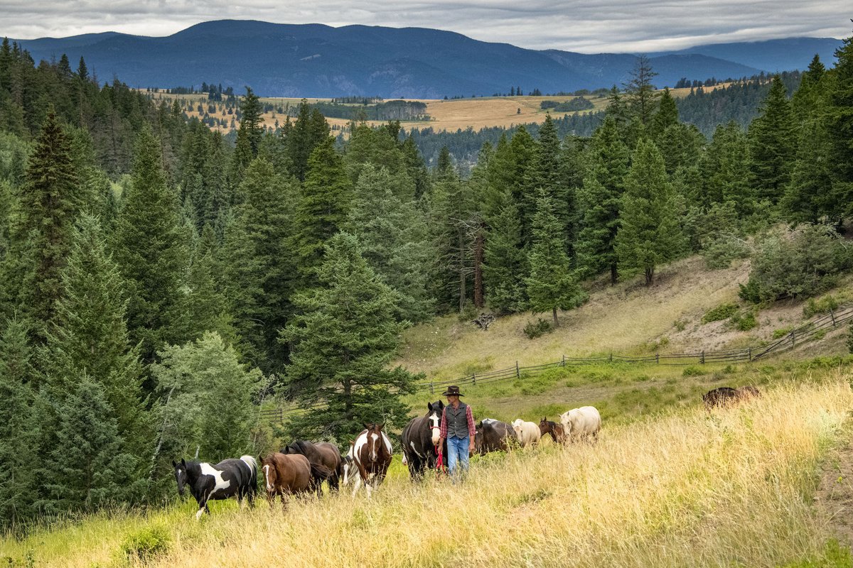Check out the second piece of our three part fall travel blog through the link in our bio — try activities such as horseback riding, whale watching, and bear viewing, or just chill out on a luxury expedition yacht.

wilderness-tourism.bc.ca/updates/fall-a…

#ExploreBC

📷: Echo Valley