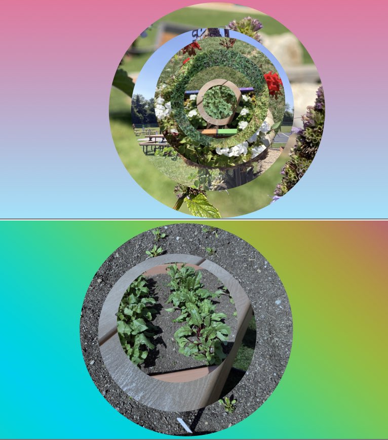 Second grade used <a href="/AppleEDU/">Apple Education</a> #Keynote to create seasonal dots in correlation with <a href="/DotClubConnect/">International Dot Day</a>! They followed <a href="/MarcWithersey/">Marc</a> tutorial and came up with some very interesting creations! <a href="/peterhreynolds/">Peter H. Reynolds</a> #AppleLearningCoach