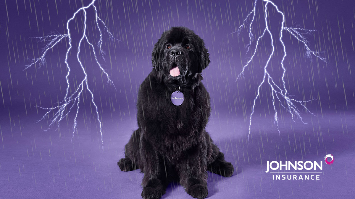 osstfd16t_ot's tweet photo. Be Prepared. Get Your Home Storm Ready

We all know that the weather can change on a dime. Our partner @WeAreJohnson has compiled some proactive steps you can take to help keep your property, home, and family safe in the event of a storm: https://t.co/Wd1OYekcU4 #JohnsonPartner https://t.co/Bz6Xyos0QU