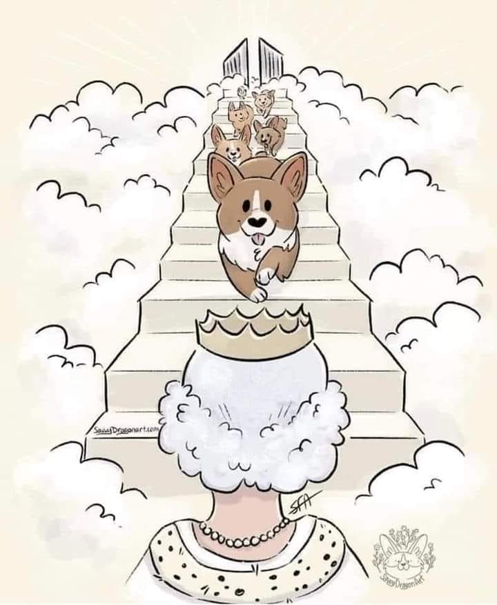 Unfortunately we couldn't extract the full poem, but this says it all:

“The corgi's lament

I hope your journey's peaceful and all I wish and pray,
Is I'll be there beside you,
Once again one day.”.

#QueenElizabeth #Poem #Love #Corgis #Dogs #Funeral #Funeral #London #UK
