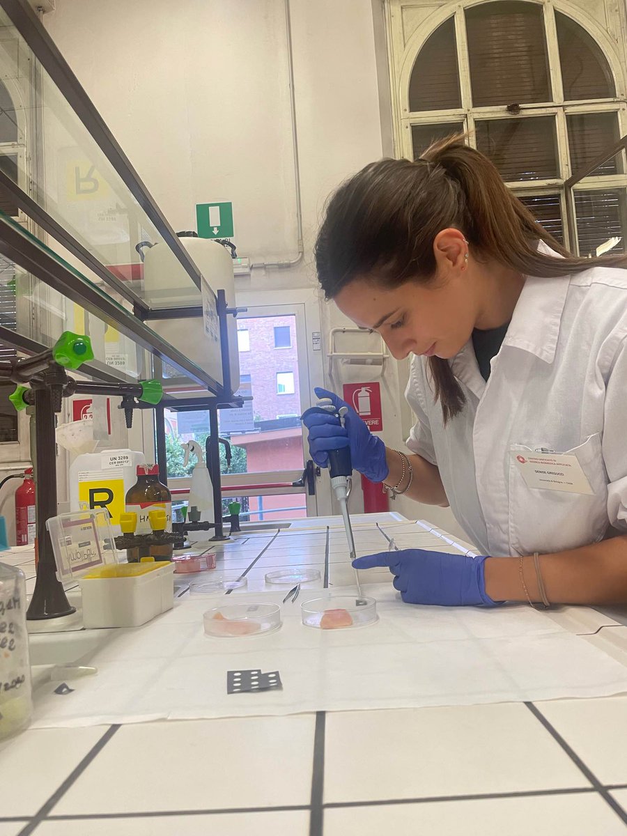ForChemists's tweet photo. Denise Gregucci,from @Ciamician_unibo, develops portable/low-cost/eco-friendly sensors for environmental,forensic &amp; diagnostic applications 
At SYNC she described a paper-based biosensor for colorimetric &amp; bioluminescent detection of mercury by a smartphone.
Great job! Ad maiora! https://t.co/FEsGhvifTE