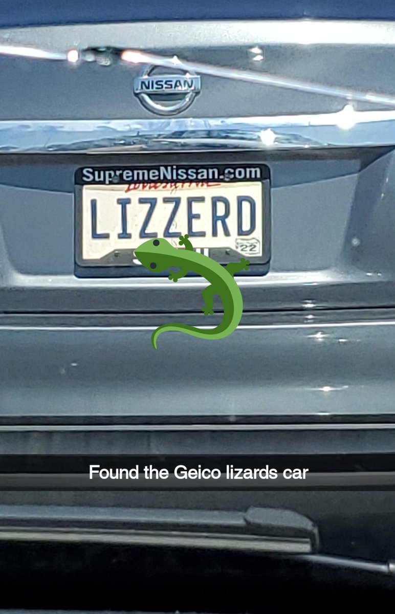 AuddiFoxxi's tweet photo. 🦎 🚗 https://t.co/fCtqL52Z8L