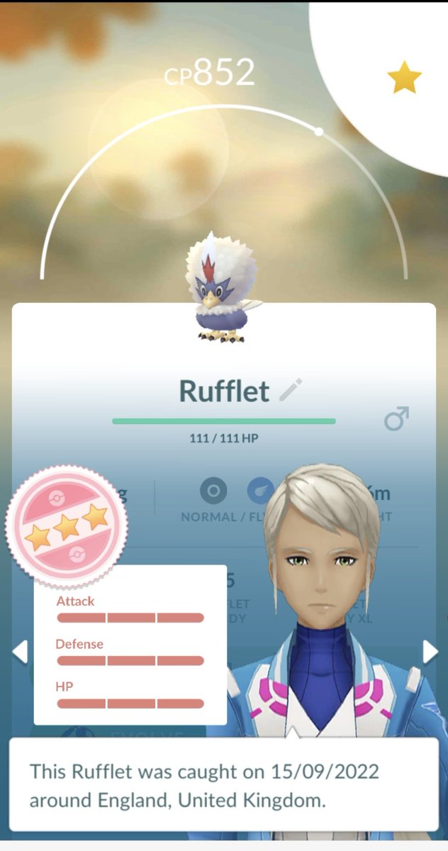 Lulupuff1's tweet photo. My third hundo Rufflet, this time from an egg! I don't know why this bird loves me so much! 🤣💯❤️🤩

#PokemonGO #PoGO #hundo https://t.co/DpQGIKP9SD