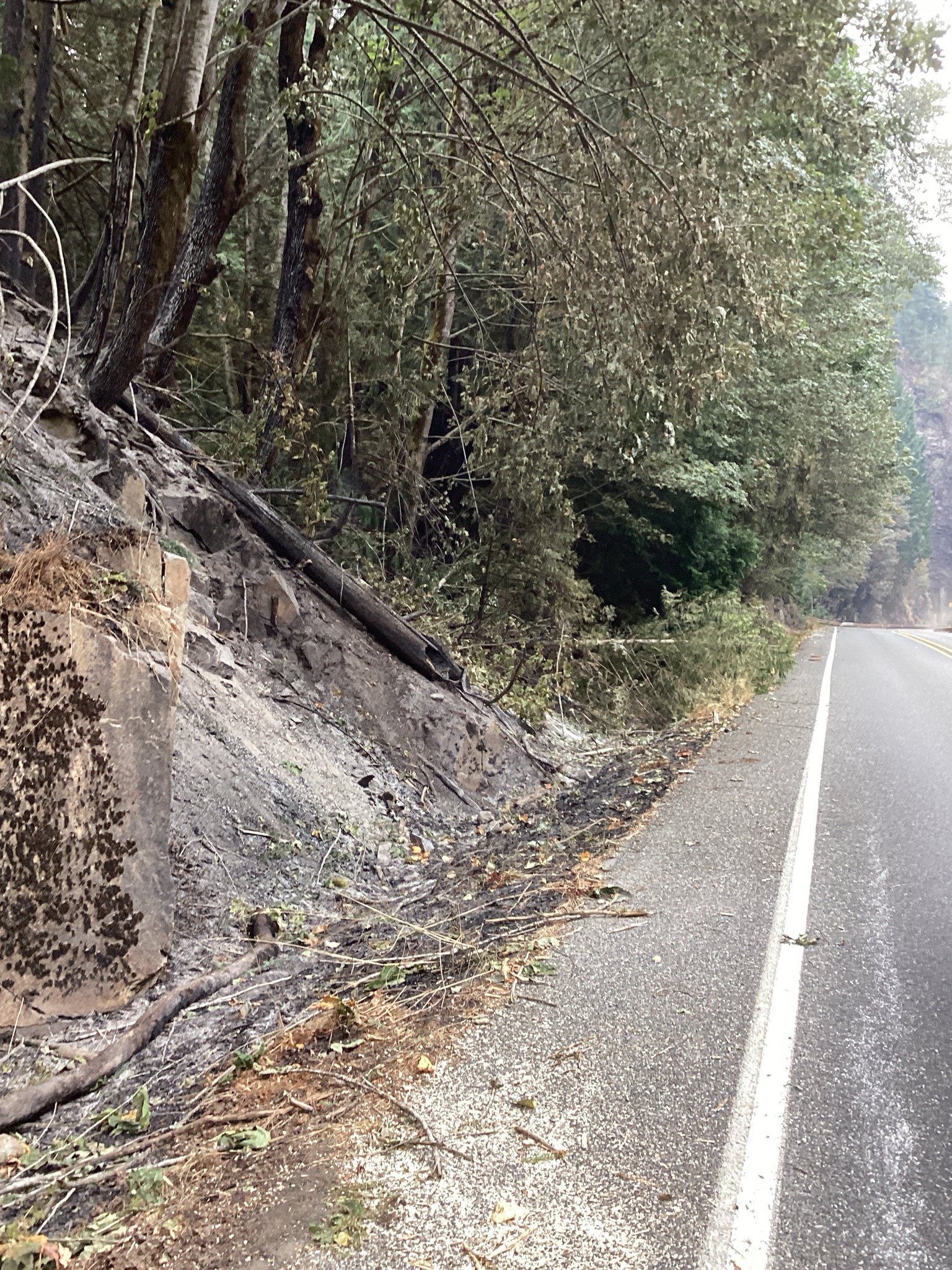 WSDOT Traffic on Twitter "US 2 will be closed at least through Monday