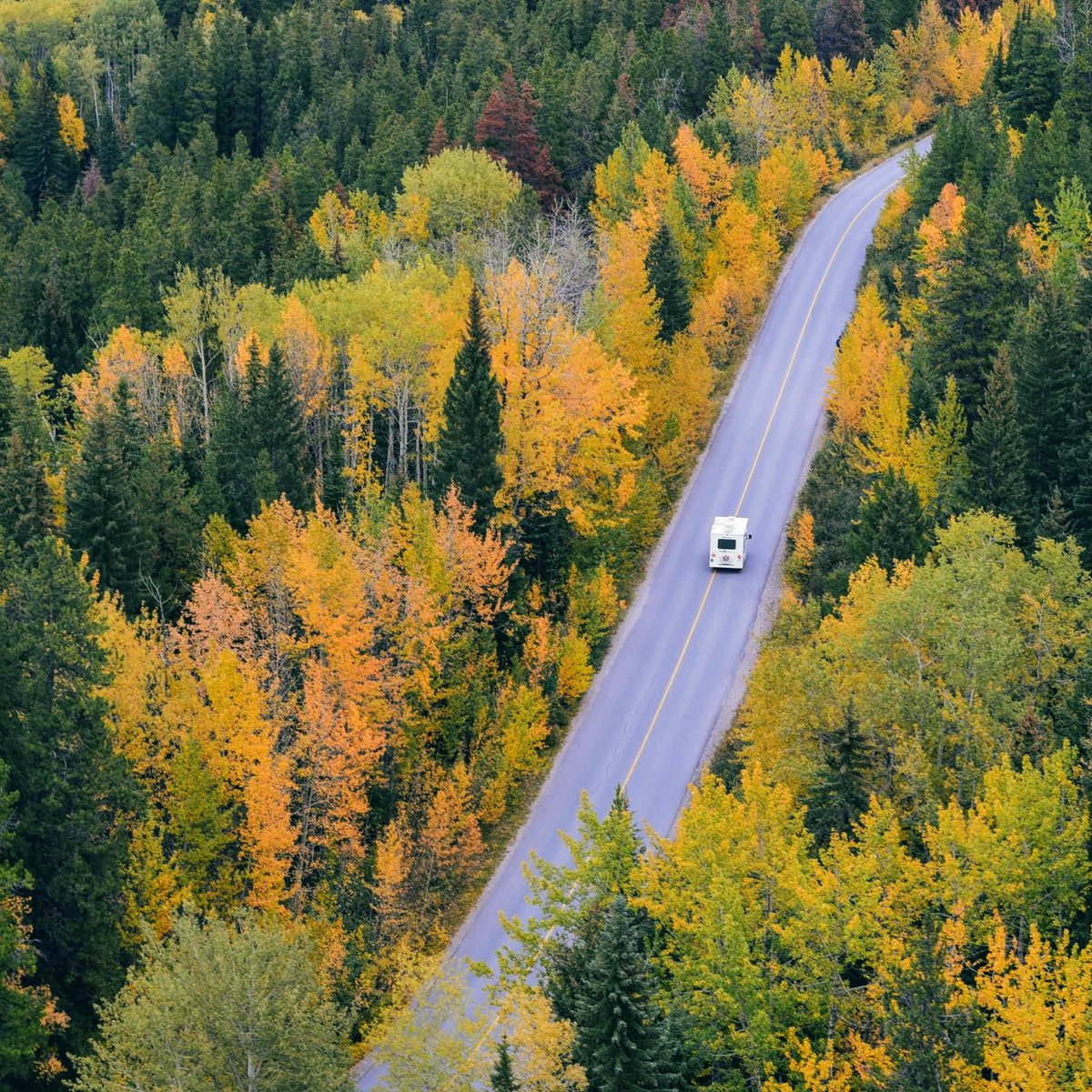 iconrvparts's tweet photo. Reminder as we approach the winter season:

Check over your roof and body components as part of your winterization process!

If you're traveling this fall or winter, also prepare by checking things over prior to kicking up leaves on the road!🍂🍂🍂

#ICONDirect #RVparts #RVlife https://t.co/Le6XQQ3Svp