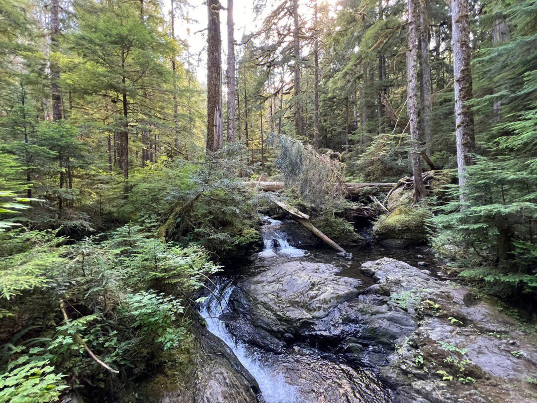 Alice____Wong's tweet photo. #seattle #usa #usa🇺🇸 #us #excursion #hiking #hikingadventures #scenery Here you can see beautiful scenery and a beautiful lake
📍Mountain Loop Hwy, Granite Falls, WA 98252United States https://t.co/a8SqbX7gAf
