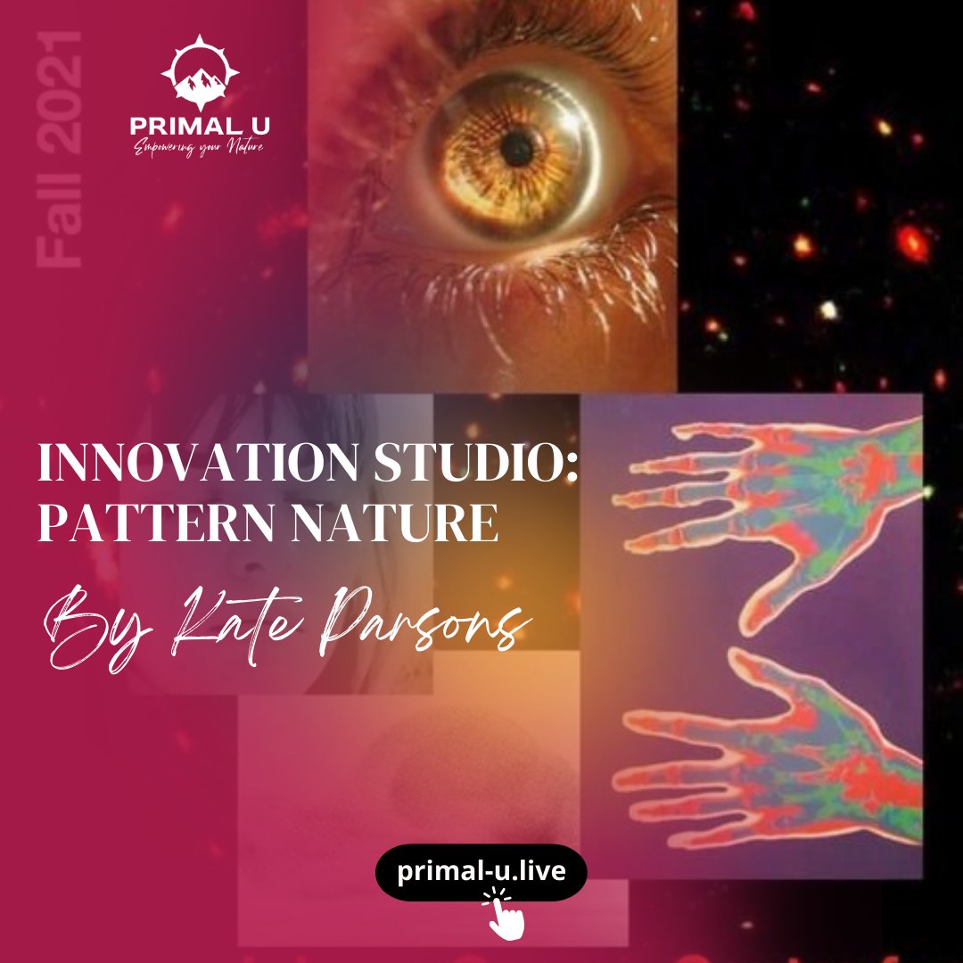 Kate Parsons served as a guest lecturer at University of Nebraska-Lincoln as part of a class called Pattern Nature, taught by Professor and fellow UCLA alum Jesse Fleming.

Read more at our blog: INNOVATION STUDIO: PATTERN NATURE 👇
primal-u.live/blog/innovatio…

#innovation #primalu