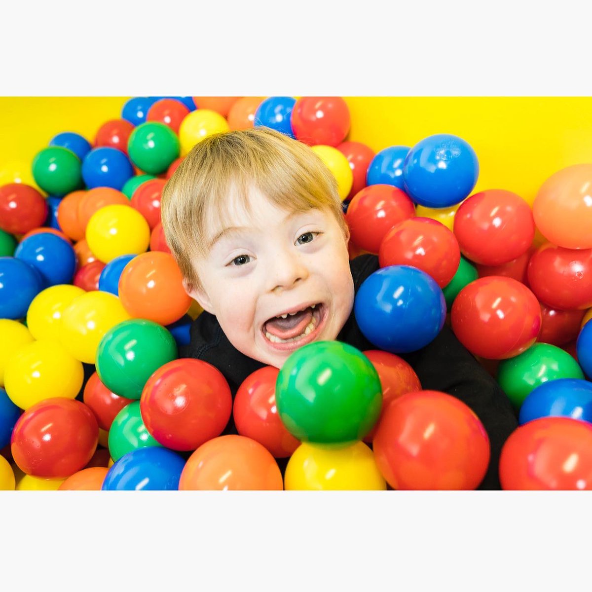 Stewarts Special School tweet media