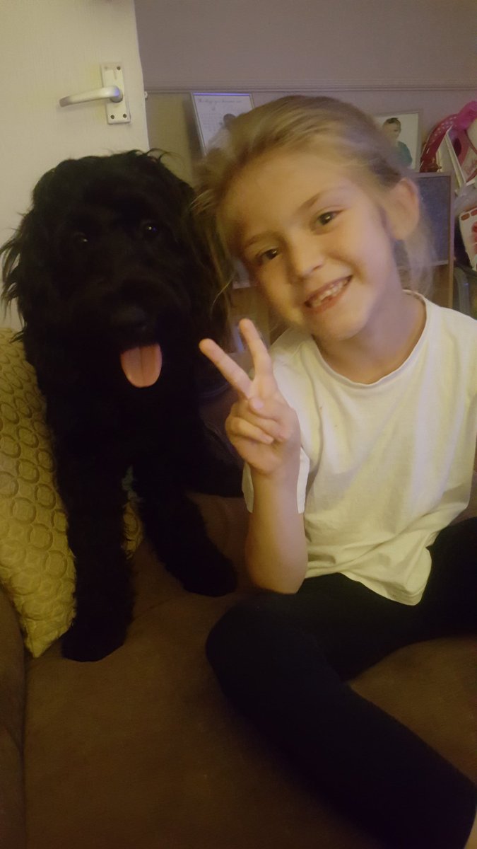 Sarah40530925's tweet photo. Freya and scruff double trouble . https://t.co/qcc0m7Pqz4