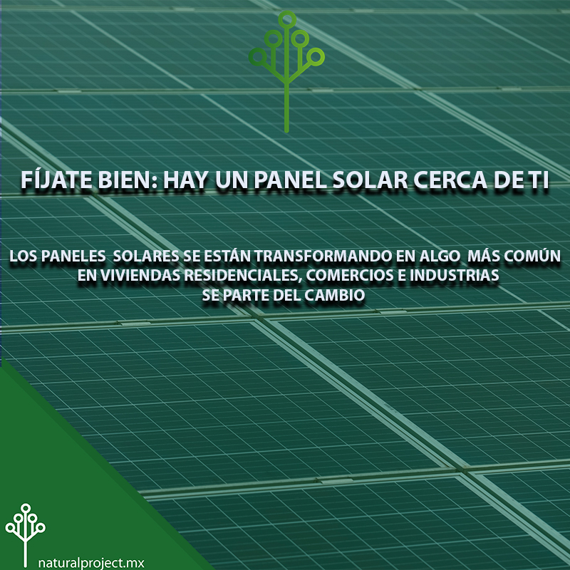 NaturalPro_Mx's tweet photo. ¿Conoces a alguien que ya tenga paneles solares? 
Nosotros te podemos ayudar a tener los tuyos
https://t.co/PBaqa57vy7
 #EnergíaSolar #PanelesSolares #energiafotovoltaica #ahorrodeenergia https://t.co/xdTVOV20Qm