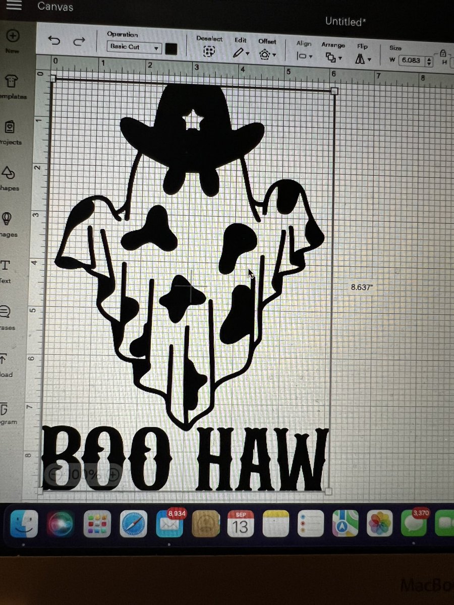 ✨Saydi Baby✨ tweet media