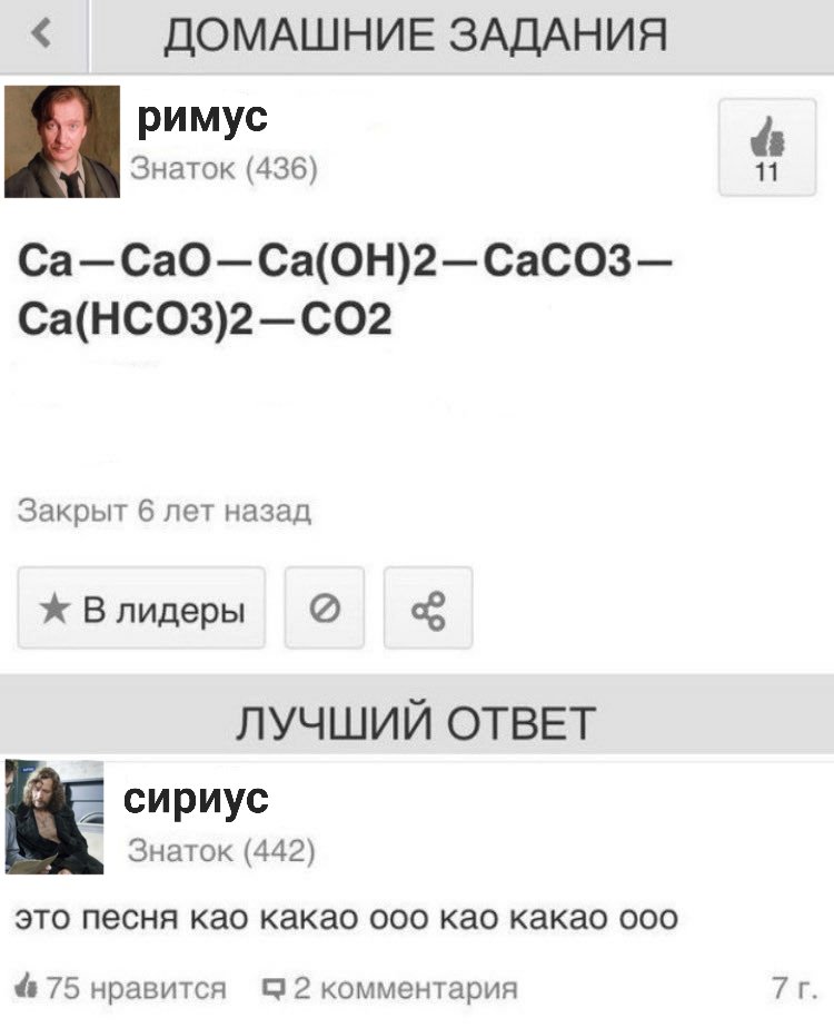 bbberennice's tweet image. сириус умный, но больше приколист чем умный.