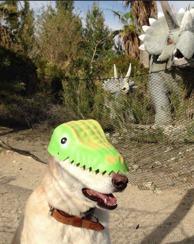 They are waiting for him.