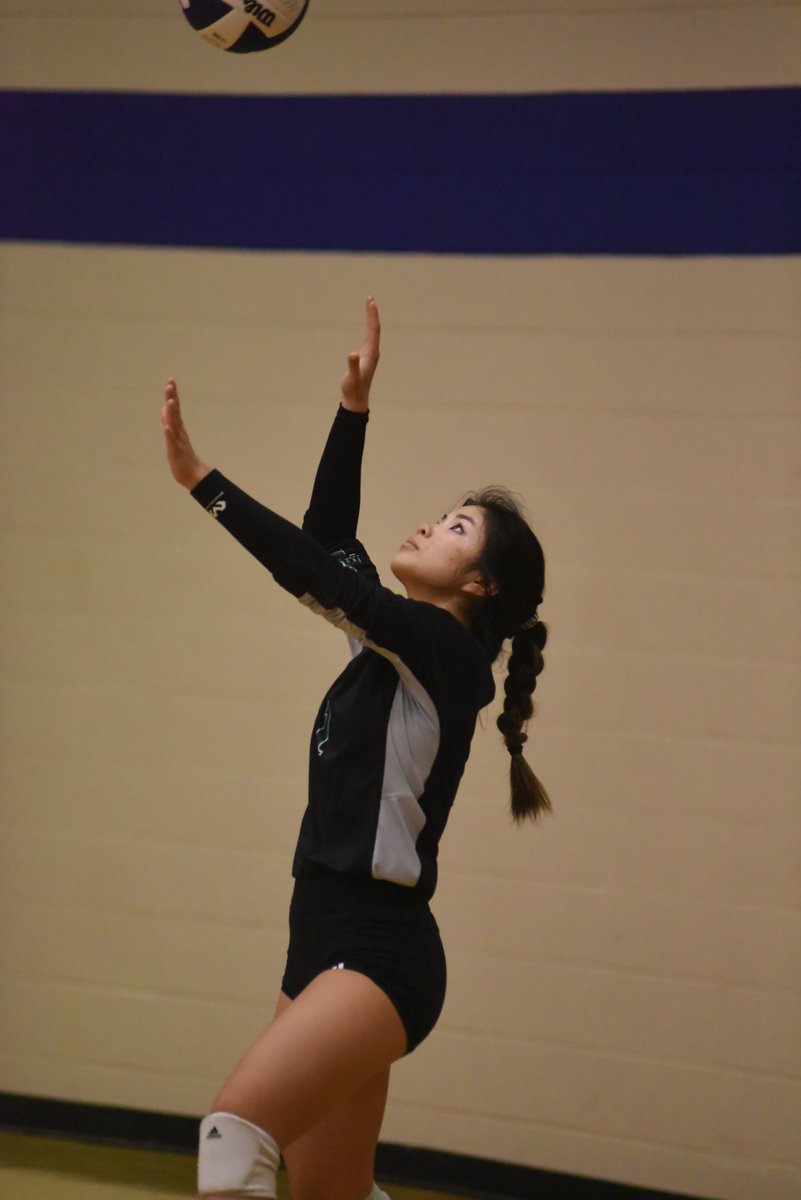 Lauren Sexton tweet media