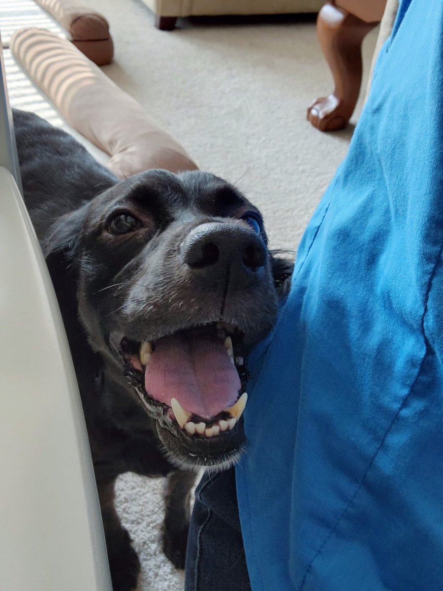 Hoosyourdaddy99's tweet image. someone needs attention...
#huxtable