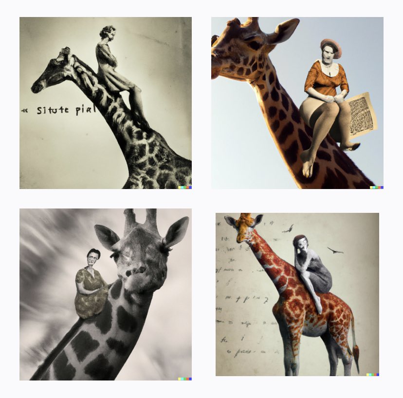 Britt O'Duffy tweet media