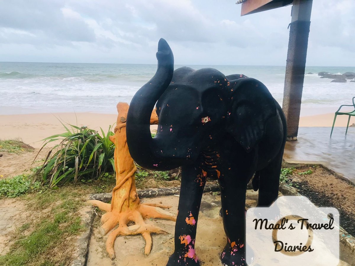 MaalsDiaries's tweet photo. Hotel j - Ambalangoda https://t.co/u3IahNlxiW