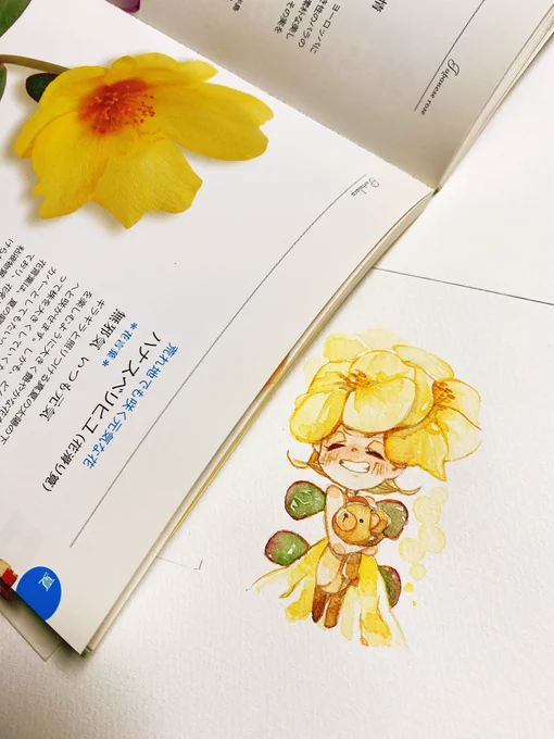 花滑莧(ハナスベリヒユ)花言葉無邪気、いつも元気#創作 #透明水彩 