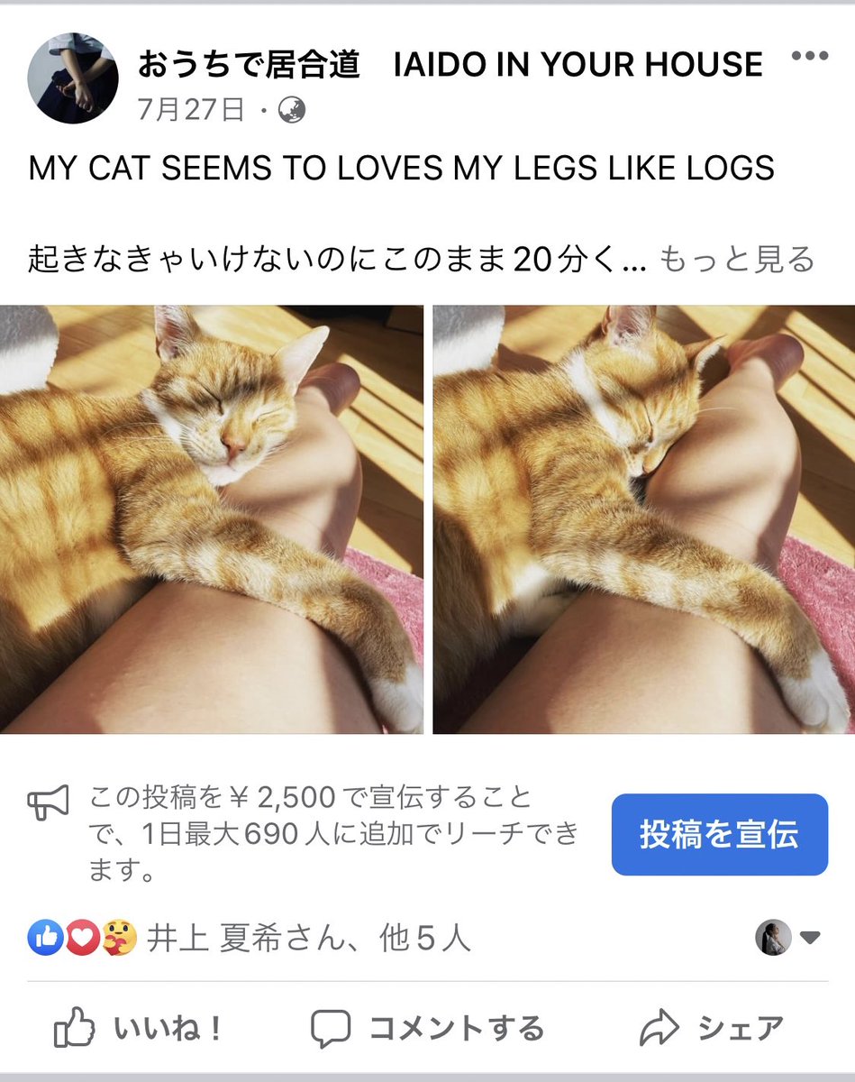 オンライン講座のアカウント、知らぬ間に個人のInstagramのアカウントとリンクさせて1年以上めちゃくちゃ私的な投稿をしてしまうくらいには機械音痴です・・