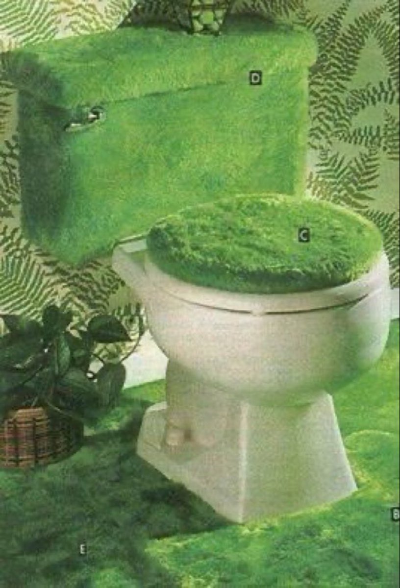 Back in the 70s, pretty much every other toilet was basically just a Muppet you pooped in.