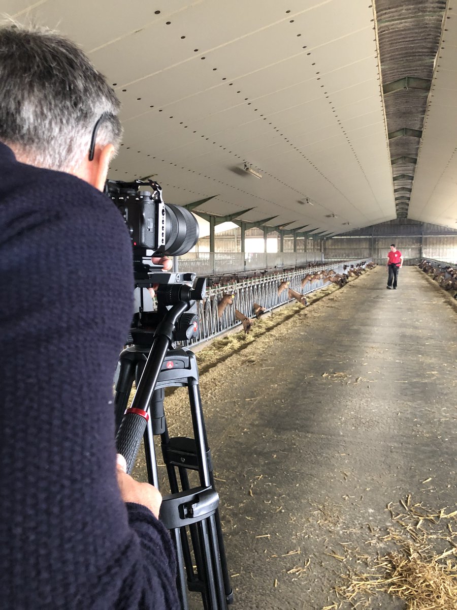 Agence WATT tweet media