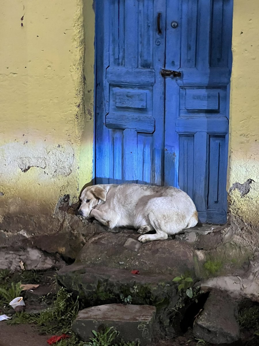 Por una Guatemala en donde ellos tampoco sufran 😢💔🇬🇹