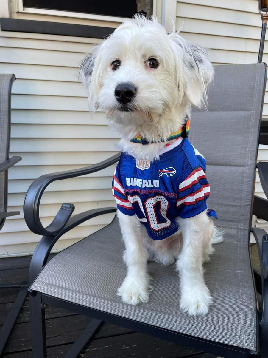 13WHAM's tweet photo. Walter loves the @BuffaloBills, his mom, Sharon Mensing, says.
We bet he'll tune in to #BuffaloPlus to see @MikeCatalana, @danfetes and @JennaCottrell preview Monday night's game.
Join us on #YouTube, Facebook, or https://t.co/DzQQAGcIfW at 7 p.m. every Thursday. https://t.co/Fj76kYtNdS