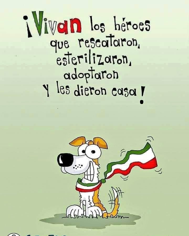 TNRGatotines's tweet photo. ¡Vivan! 🇲🇽🌵 | Los héroes rescatistas, protectores de animales, donadores, adoptantes, y todas aquellas personas valientes que se han sumado para salvar y cambiar vidas. 🐶🏡🐱
-Porque por ellos vivo; gritooo #QueVivan https://t.co/w2RvxAUcC9