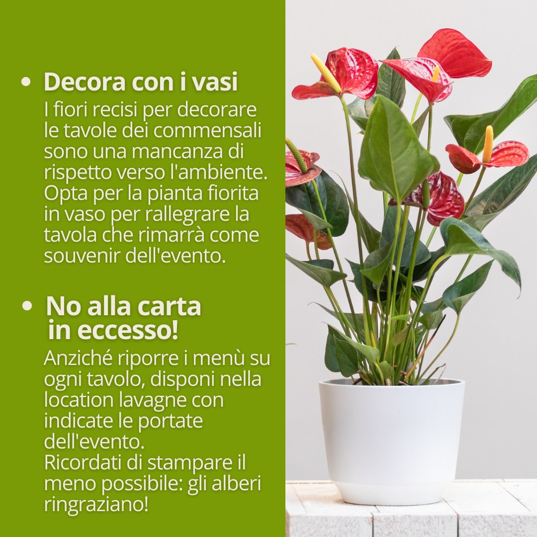 EcoBioShopping's tweet photo. Eco-Catering? 🤩
Segui i nostri consigli per realizzarlo con il minimo impatto ambientale 🌱

https://t.co/Vpi9jEJtgg
Il monouso compostabile online 🌱

#catering #plasticfree https://t.co/qWZjyCErSj