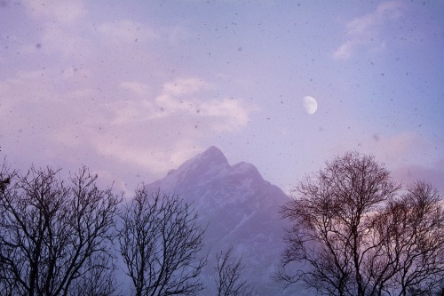 softdeIicacy's tweet photo. purple skies; https://t.co/q7ozItHBvp