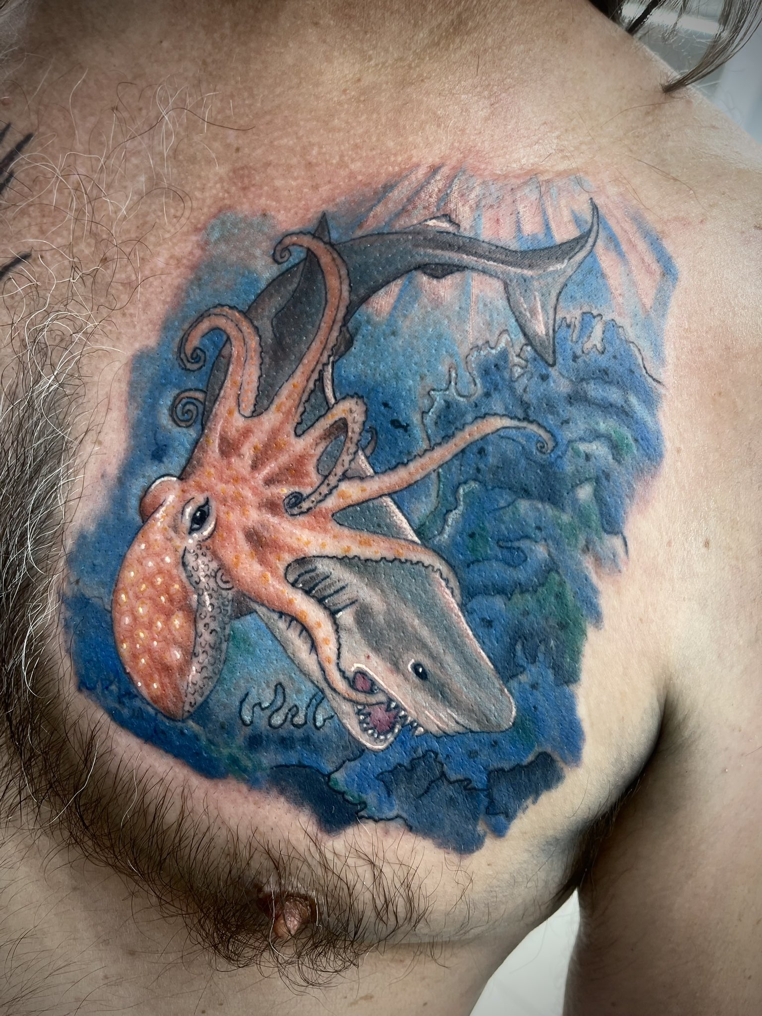 Shark Vs Octopus Tattoo