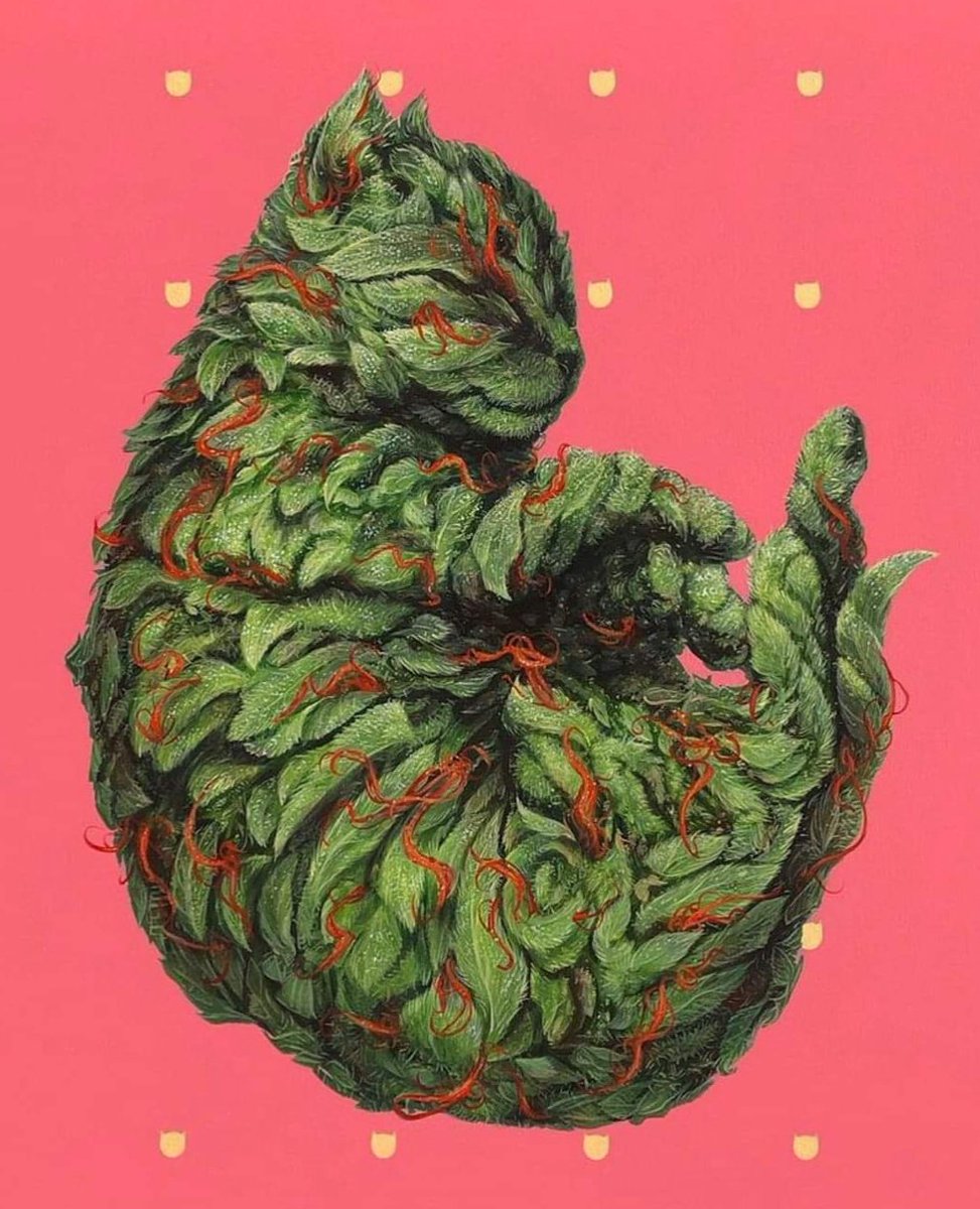 Gm fam 
Who want's a nug right meow?
Looking purrfect 👀
<a href="/BestBudsNFTs/">Best Buds</a> <a href="/MaryJaneNFTs/">Community Fan Page for Mary Janes NFTs</a> 
Come smoke with me 💨💨