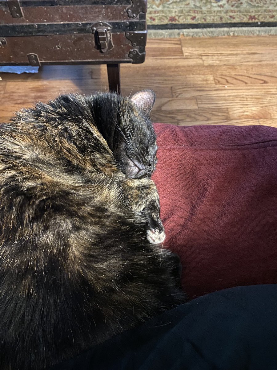 I have a meeting in 17 minutes
AND NOW WHAT DO I DO?