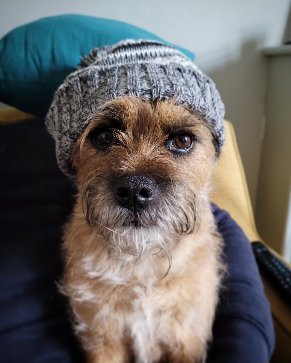 One month on Harris🐾🌈 M&amp;D miss you so much our handsome boy🐾💔🐾❤️🐾