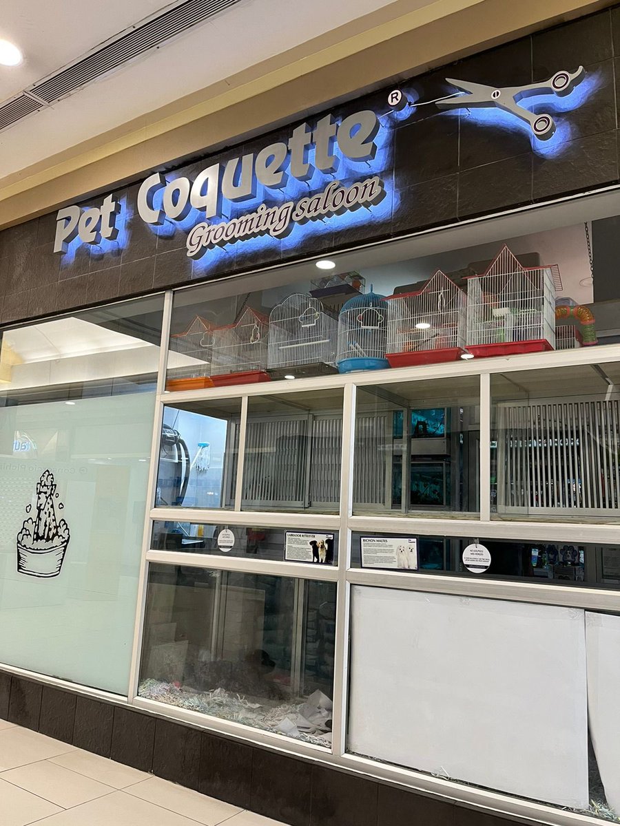 mfespin_'s tweet photo. Así tiene PET COQUETE de RIOCENTRO CEIBOS a estos perritos en vitrina, viviendo encerrados en condiciones horribles!!! No entiendo por qué siguen teniendo autorización para vender y tener animales de esa forma! https://t.co/0Tl5RadQiy