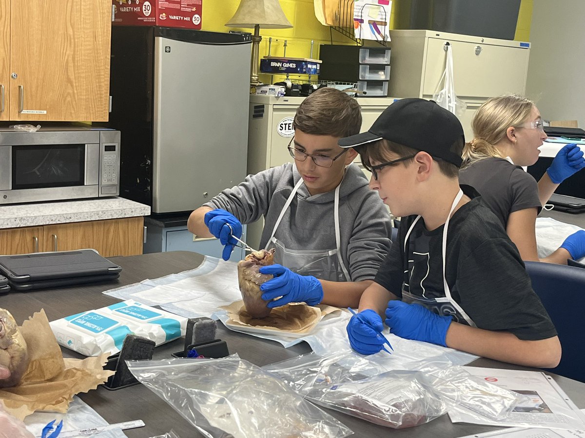 BCPSAdvancedLearning tweet media