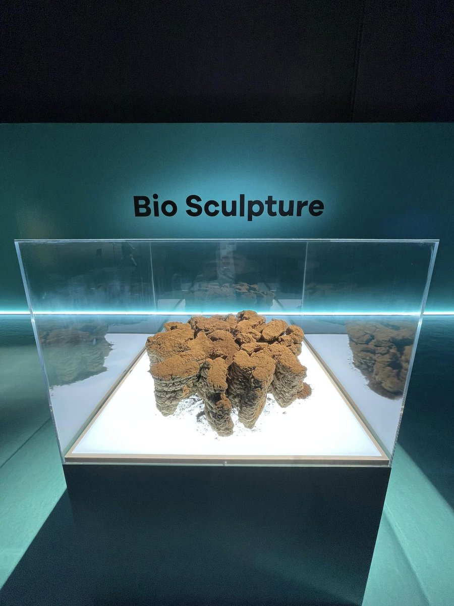 Hiroyeah's tweet photo. 【最後の文化庁メディア芸術祭 受賞作品展にてBio Sculpture展示】日本科学未来館 9/16日(金)-26(月) 
https://t.co/Tt8wHhnmFE　今回は首都圏某所の屋外に設置され、１年が経過した状態の Bio Sculpture (苔と土で構成された環境彫刻）を会場に移設いただきました。土は、生��ています。ぜひどうぞ！ https://t.co/KHcWWhAQE2