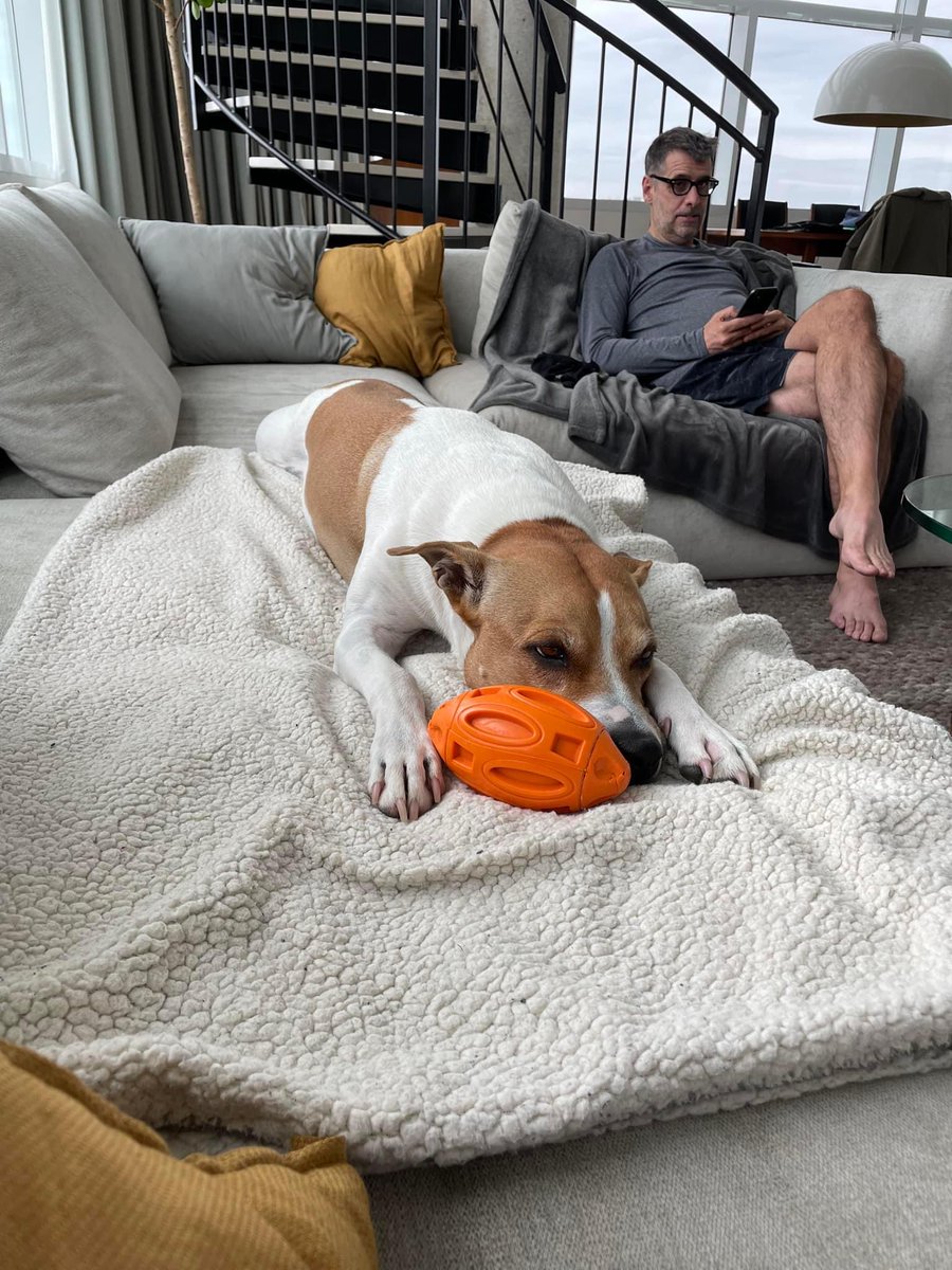 E_Duhaime's tweet photo. Retour dโune petite course avec Mia ce matin, avant de me prรฉparer au dรฉbat de ce soir.
Je me sens bien.
Je me sens dโattaque. https://t.co/jMayvLFFyi