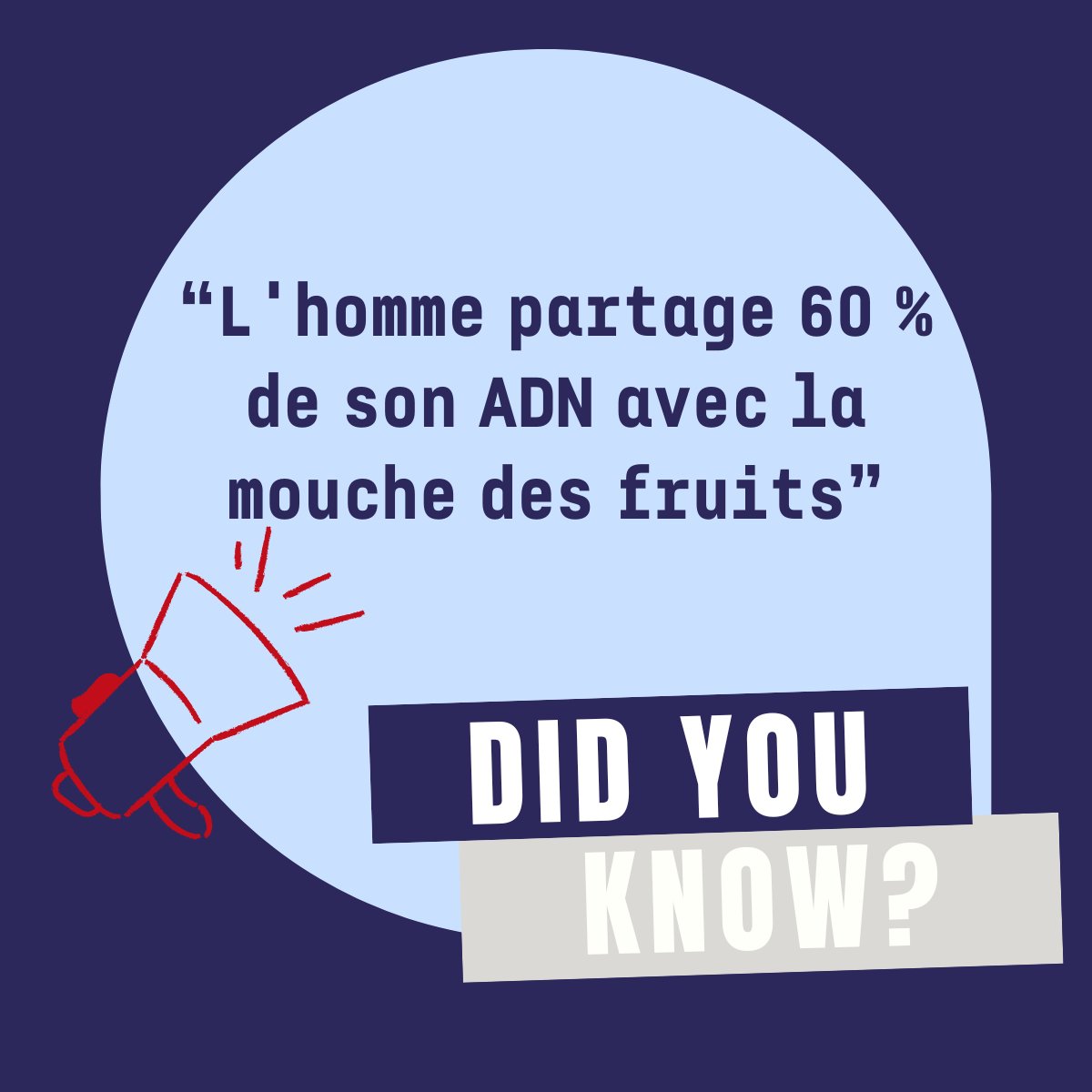 biogenosis's tweet photo. Science Fact : "Man shares 60% of his DNA with Drosophila"
#funniesttweets #Science #Biology #joke https://t.co/V1VrrZD2nN