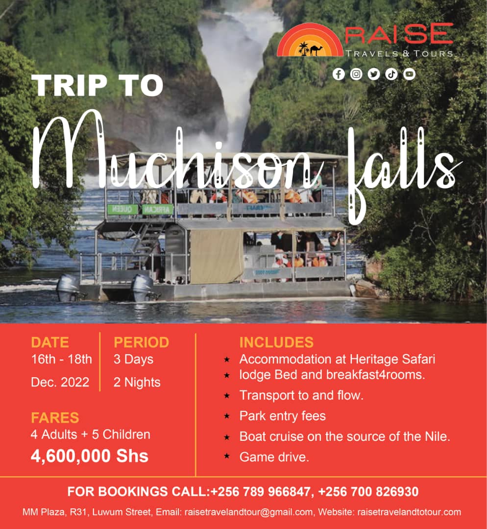 RaiseTravels's tweet photo. Tour with Raise Travels and Tour and experience the best adventure ever during the December holiday. 
visit our website or contact us for more information. 
Thank you https://t.co/tWVgRvTe4x