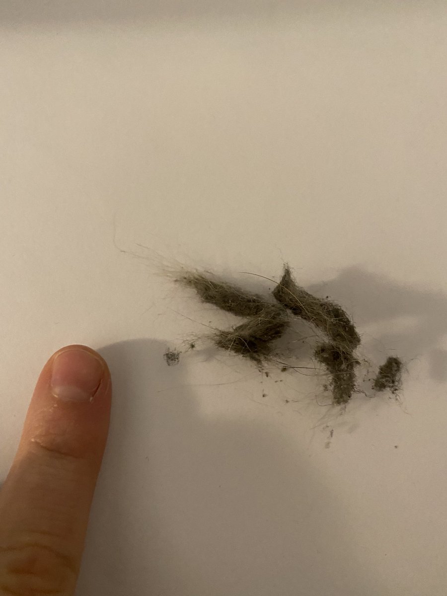 High Desert Girl Mira 🏜 on Twitter "My nubby lil finger for scale