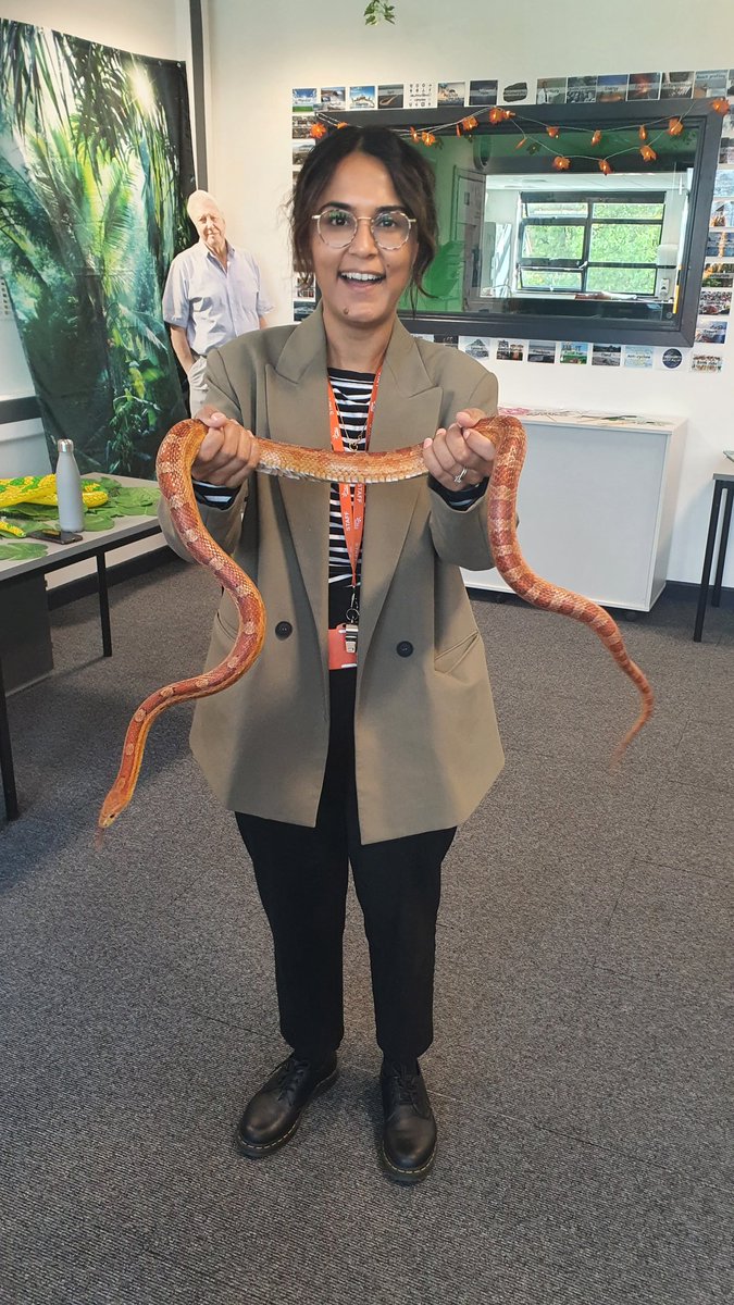 Wouldn't be an @MEACentral open evening without the creepy crawlies and snakes in Geography! Here until 6.30pm!!