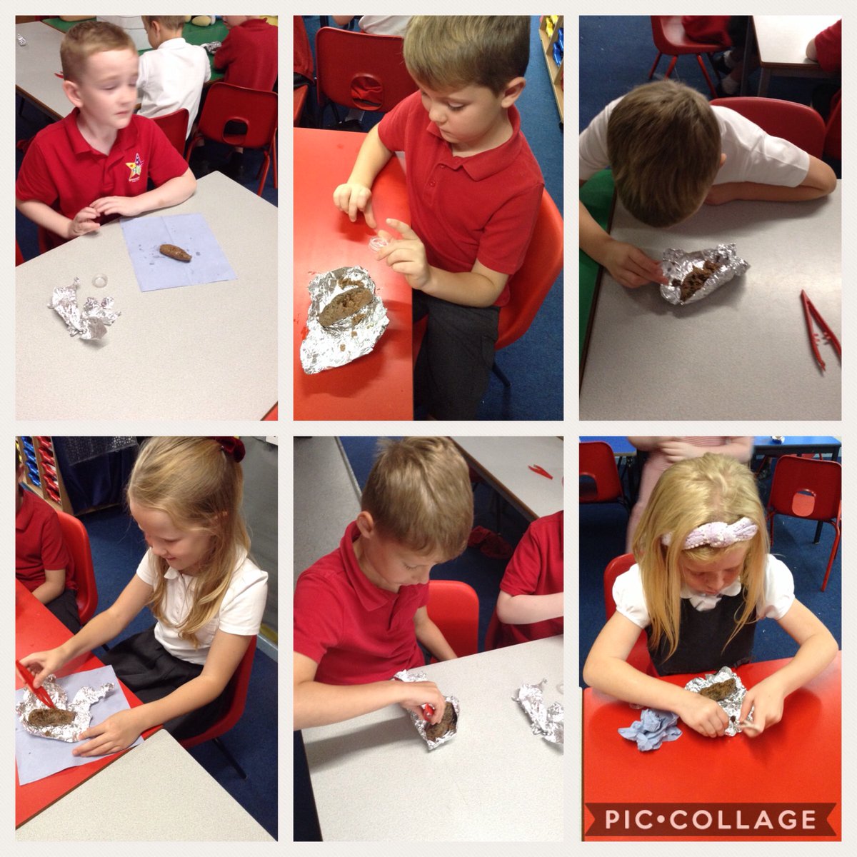 Year 3 Wynndale tweet media