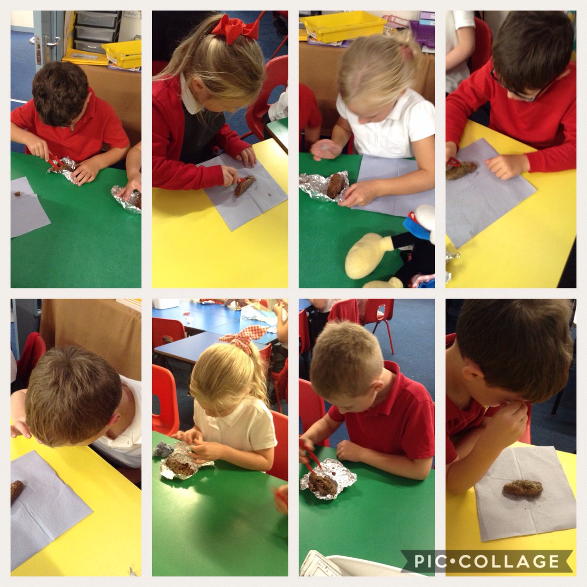 Year 3 Wynndale tweet media