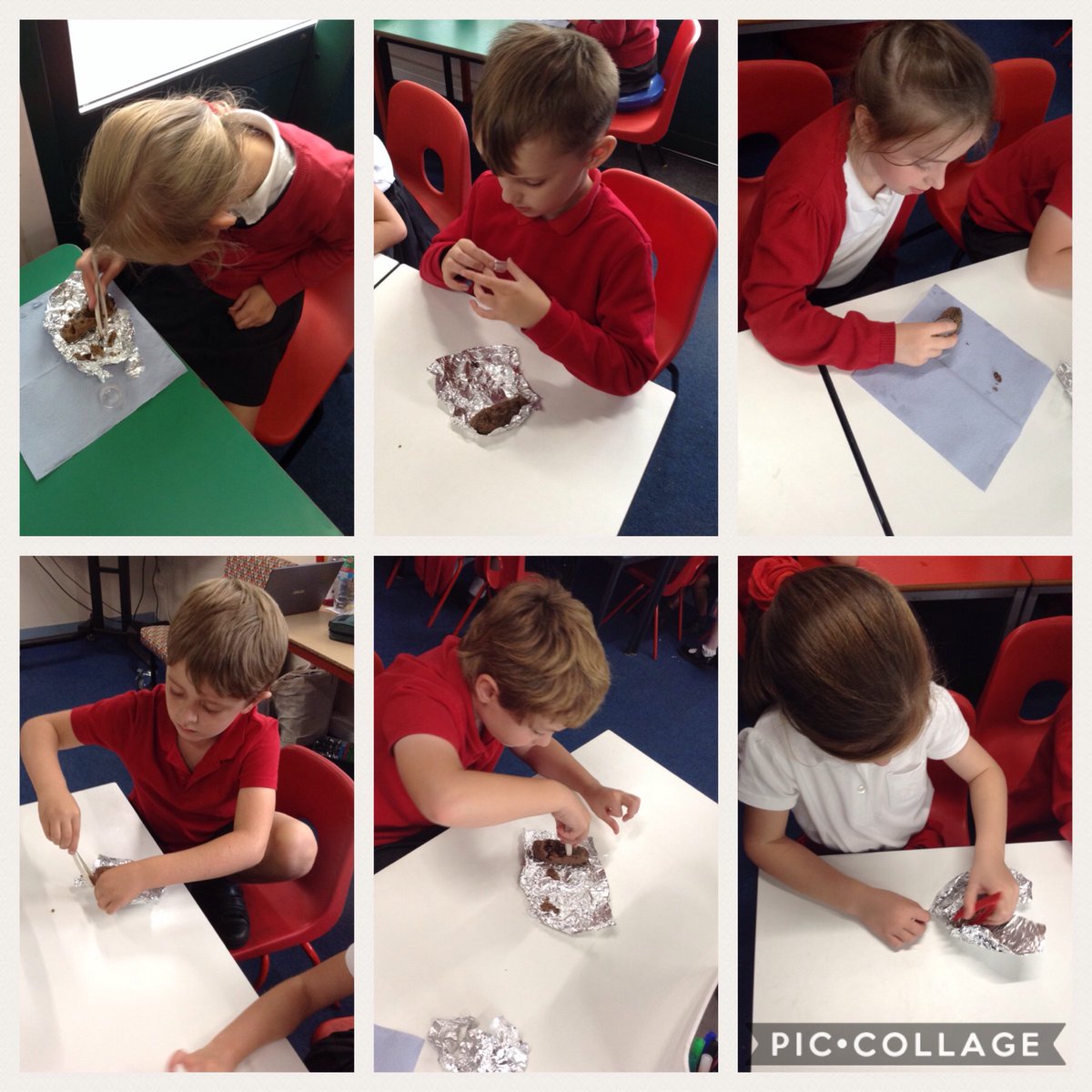Year 3 Wynndale tweet media